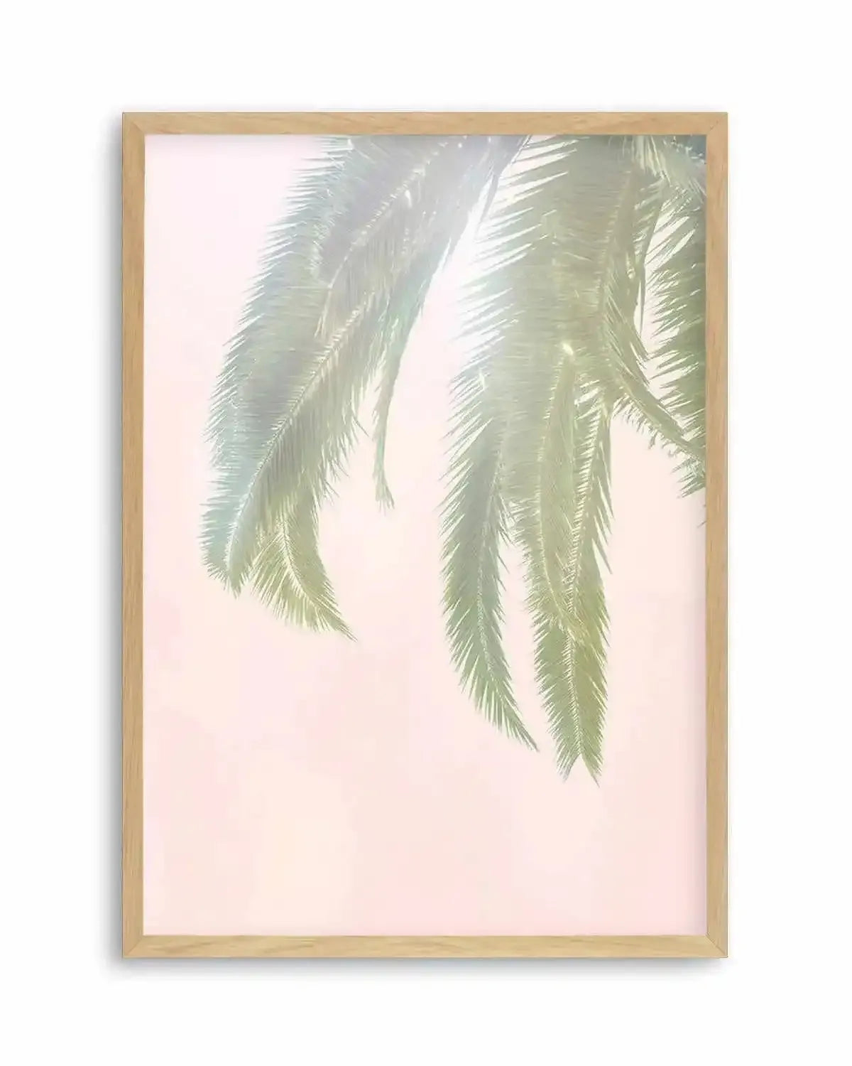 Dreamy Palms I Art Print from Olive et Oriel where you can shop wallpaper and artworks online