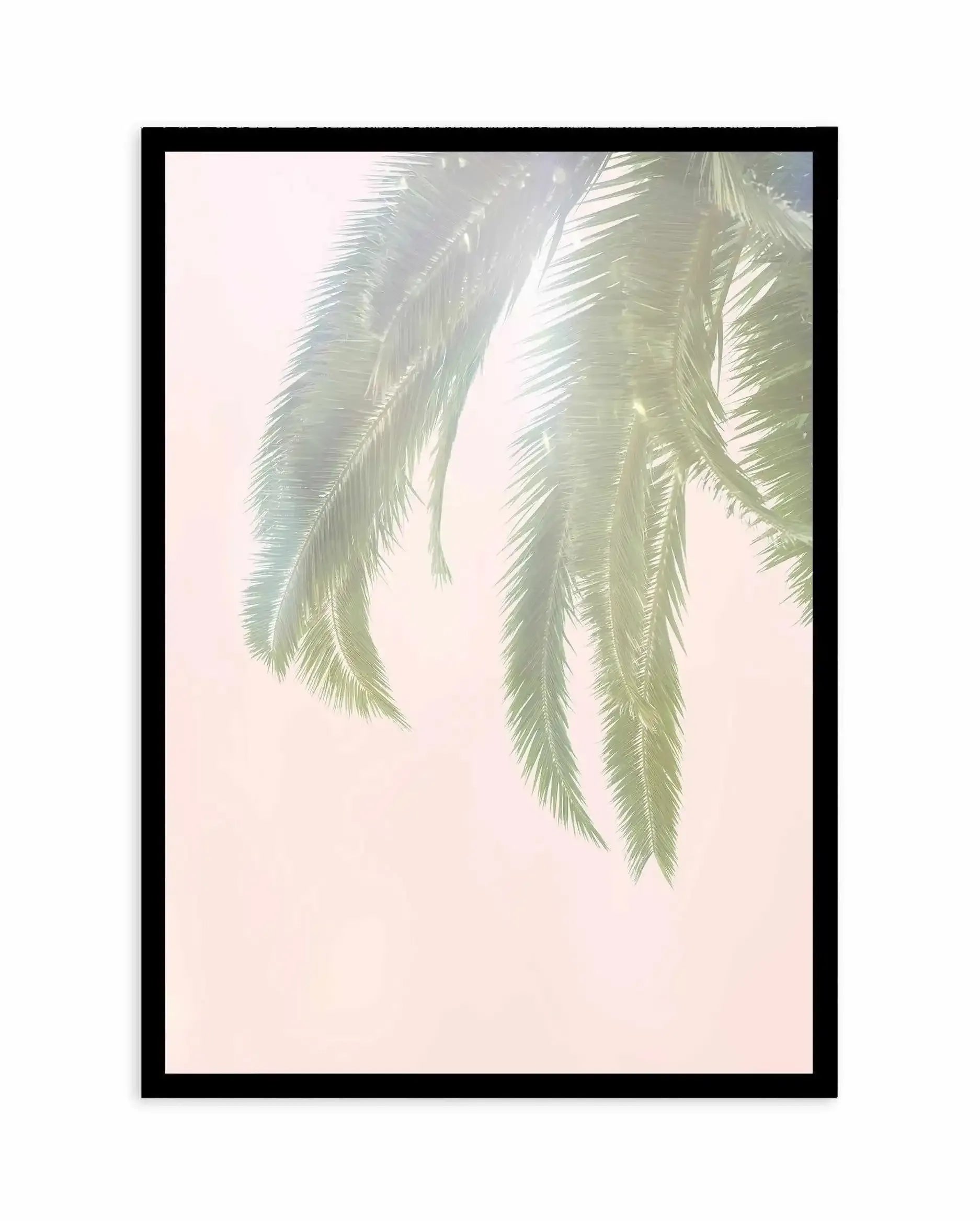 Dreamy Palms I Art Print-PRINT-Olive et Oriel-Olive et Oriel-A4 | 8.3" x 11.7" | 21 x 29.7cm-Black-With White Border-Buy-Australian-Art-Prints-Online-with-Olive-et-Oriel-Your-Artwork-Specialists-Austrailia-Decorate-With-Coastal-Photo-Wall-Art-Prints-From-Our-Beach-House-Artwork-Collection-Fine-Poster-and-Framed-Artwork