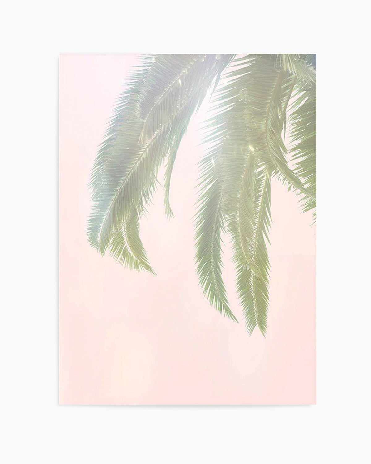 Dreamy Palms I Art Print