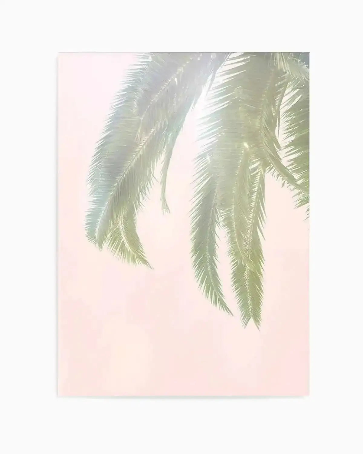 Dreamy Palms I Art Print from Olive et Oriel where you can shop wallpaper and artworks online