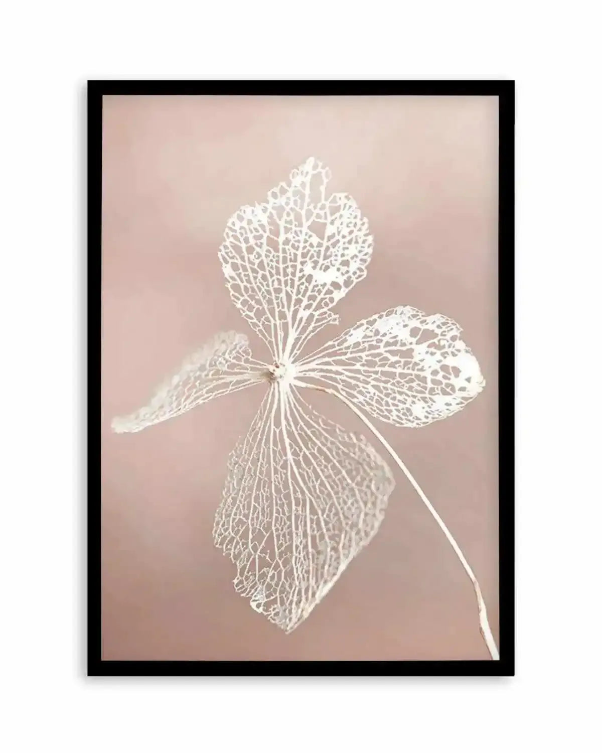 Dried Hydrangea Art Print from Olive et Oriel where you can shop wallpaper and artworks online