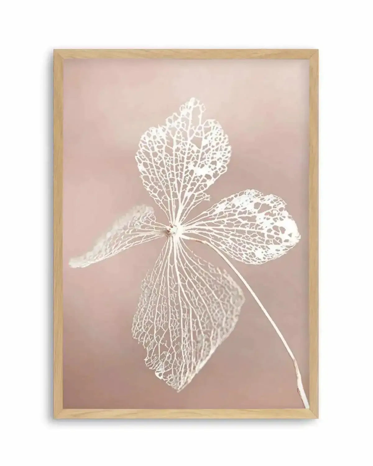 Dried Hydrangea Art Print from Olive et Oriel where you can shop wallpaper and artworks online