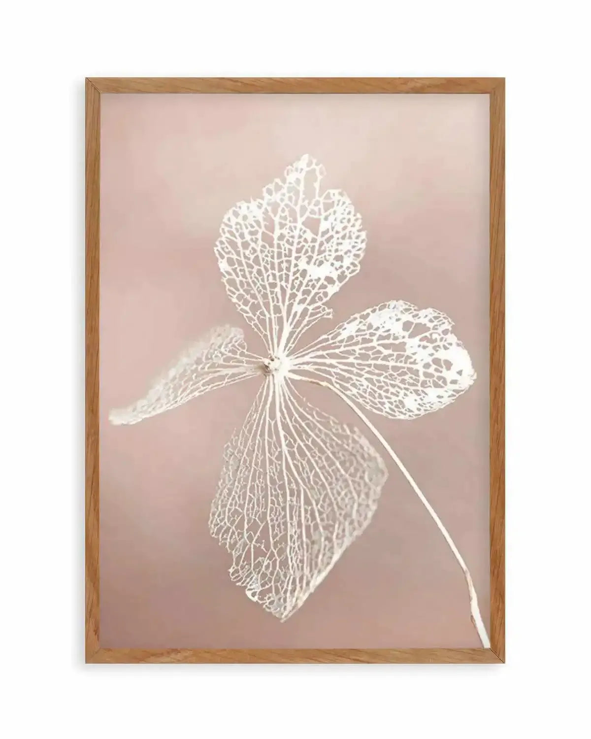 Dried Hydrangea Art Print from Olive et Oriel where you can shop wallpaper and artworks online
