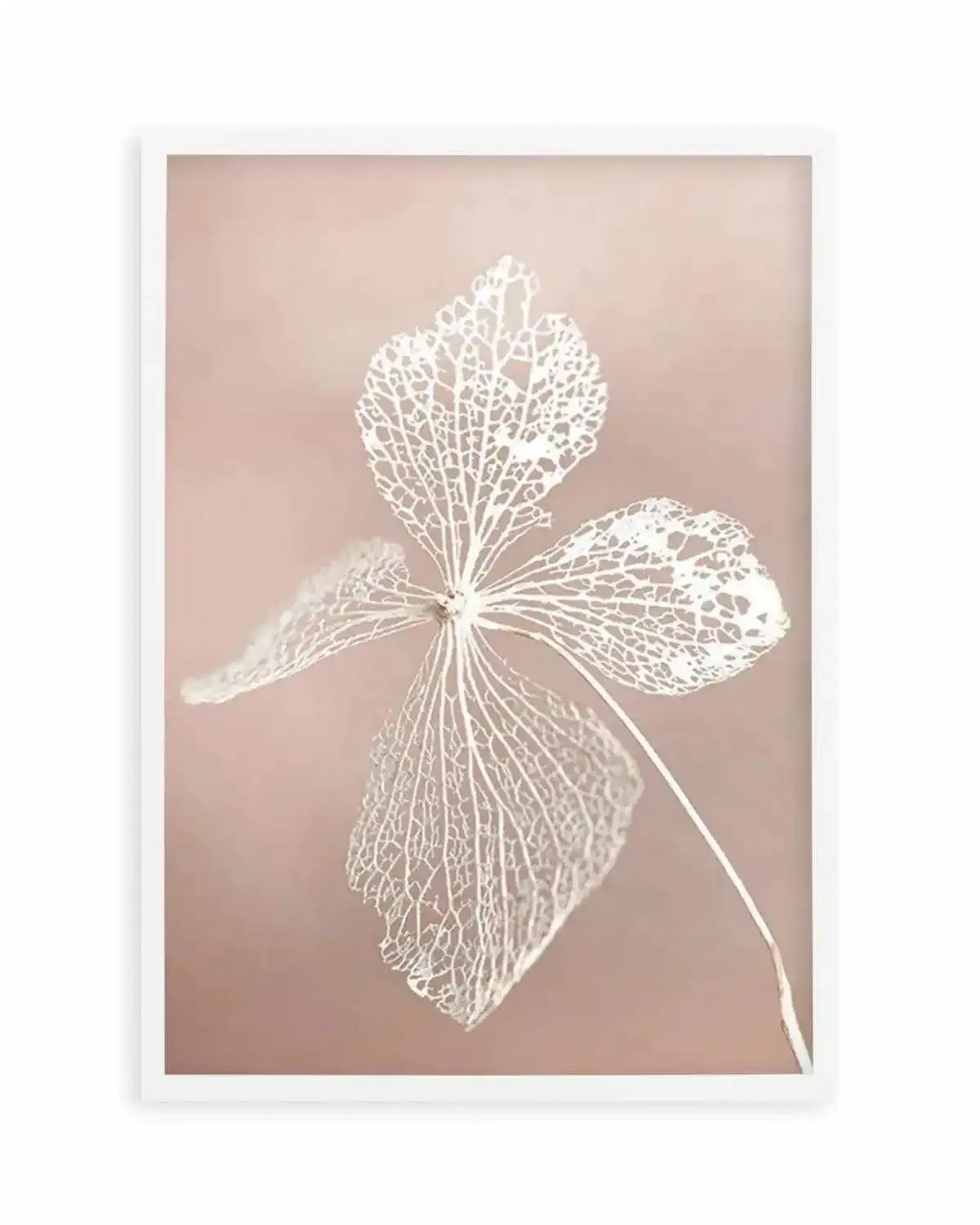 Dried Hydrangea Art Print from Olive et Oriel where you can shop wallpaper and artworks online