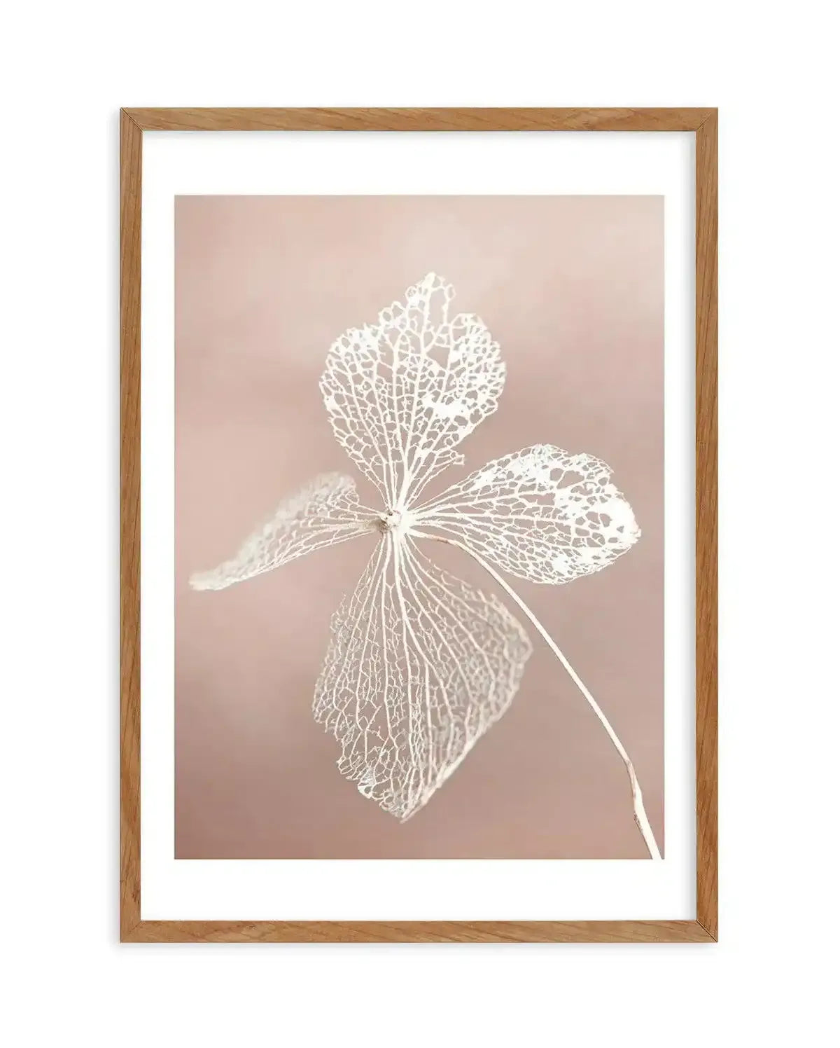 Dried Hydrangea Art Print-Buy-Bohemian-Wall-Art-Print-And-Boho-Pictures-from-Olive-et-Oriel-Bohemian-Wall-Art-Print-And-Boho-Pictures-And-Also-Boho-Abstract-Art-Paintings-On-Canvas-For-A-Girls-Bedroom-Wall-Decor-Collection-of-Boho-Style-Feminine-Art-Poster-and-Framed-Artwork-Update-Your-Home-Decorating-Style-With-These-Beautiful-Wall-Art-Prints-Australia