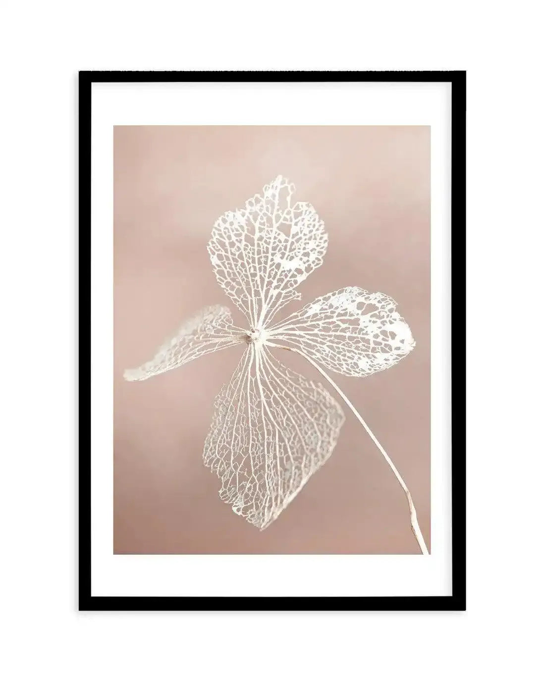 Dried Hydrangea Art Print-Buy-Bohemian-Wall-Art-Print-And-Boho-Pictures-from-Olive-et-Oriel-Bohemian-Wall-Art-Print-And-Boho-Pictures-And-Also-Boho-Abstract-Art-Paintings-On-Canvas-For-A-Girls-Bedroom-Wall-Decor-Collection-of-Boho-Style-Feminine-Art-Poster-and-Framed-Artwork-Update-Your-Home-Decorating-Style-With-These-Beautiful-Wall-Art-Prints-Australia