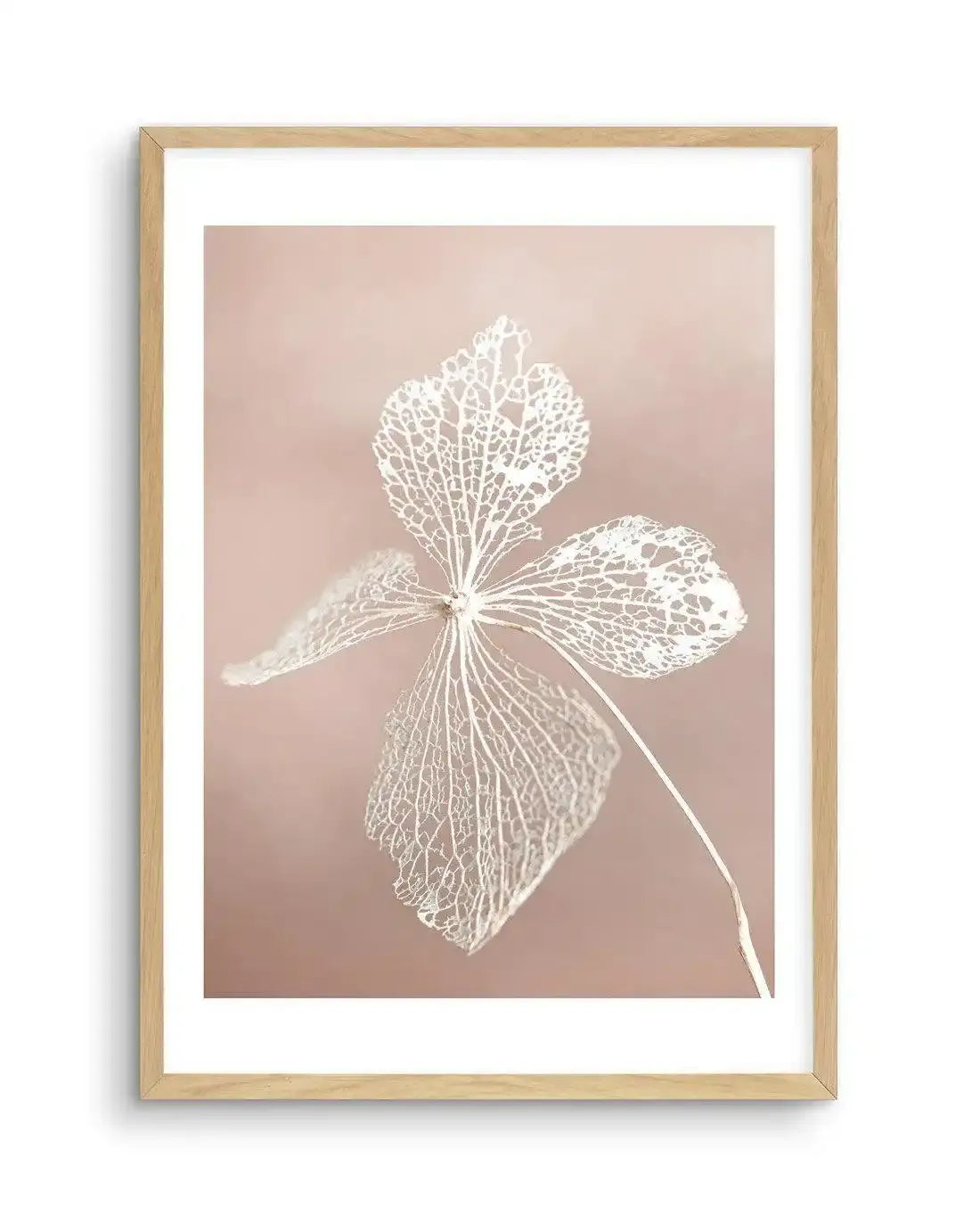 Dried Hydrangea Art Print-Buy-Bohemian-Wall-Art-Print-And-Boho-Pictures-from-Olive-et-Oriel-Bohemian-Wall-Art-Print-And-Boho-Pictures-And-Also-Boho-Abstract-Art-Paintings-On-Canvas-For-A-Girls-Bedroom-Wall-Decor-Collection-of-Boho-Style-Feminine-Art-Poster-and-Framed-Artwork-Update-Your-Home-Decorating-Style-With-These-Beautiful-Wall-Art-Prints-Australia