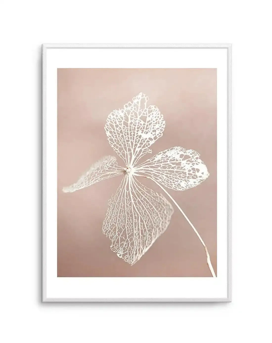Dried Hydrangea Art Print-Buy-Bohemian-Wall-Art-Print-And-Boho-Pictures-from-Olive-et-Oriel-Bohemian-Wall-Art-Print-And-Boho-Pictures-And-Also-Boho-Abstract-Art-Paintings-On-Canvas-For-A-Girls-Bedroom-Wall-Decor-Collection-of-Boho-Style-Feminine-Art-Poster-and-Framed-Artwork-Update-Your-Home-Decorating-Style-With-These-Beautiful-Wall-Art-Prints-Australia
