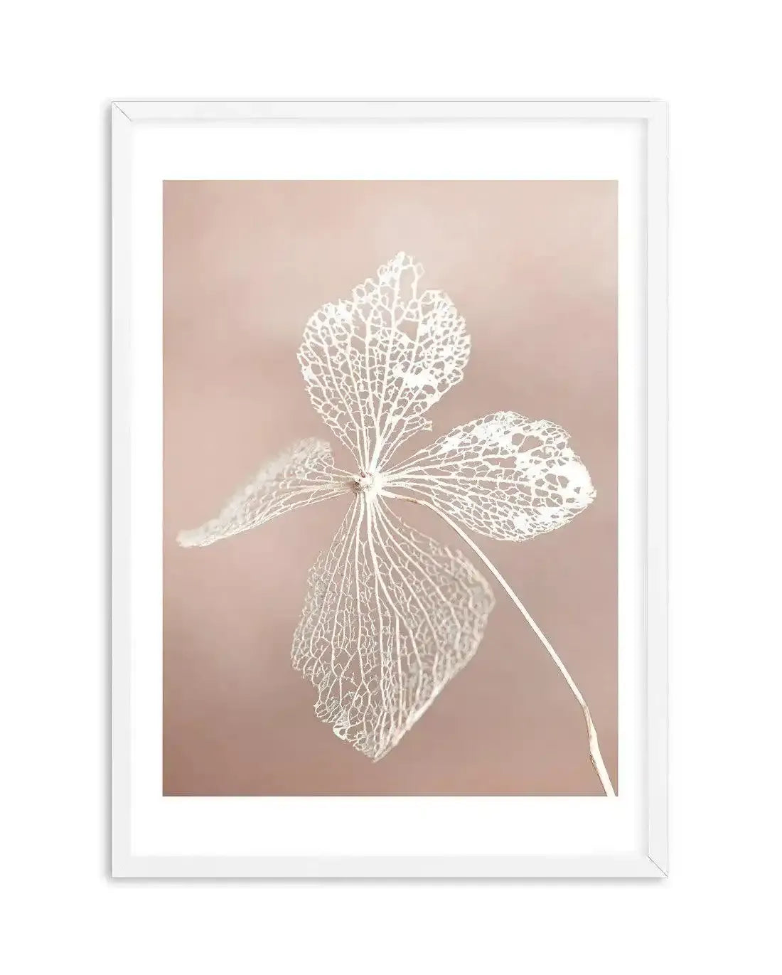 Dried Hydrangea Art Print-Buy-Bohemian-Wall-Art-Print-And-Boho-Pictures-from-Olive-et-Oriel-Bohemian-Wall-Art-Print-And-Boho-Pictures-And-Also-Boho-Abstract-Art-Paintings-On-Canvas-For-A-Girls-Bedroom-Wall-Decor-Collection-of-Boho-Style-Feminine-Art-Poster-and-Framed-Artwork-Update-Your-Home-Decorating-Style-With-These-Beautiful-Wall-Art-Prints-Australia