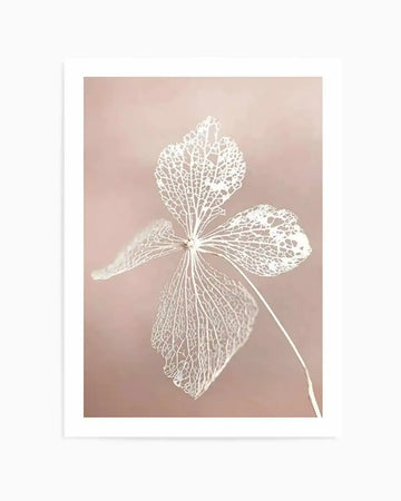 "Art print featuring a close-up photograph of a dried hydrangea flower in white, showcasing its delicate, intricate skeletal structure of veins and petals against a soft, muted blush pink background. The composition highlights the fragile texture and organic patterns of the flower."