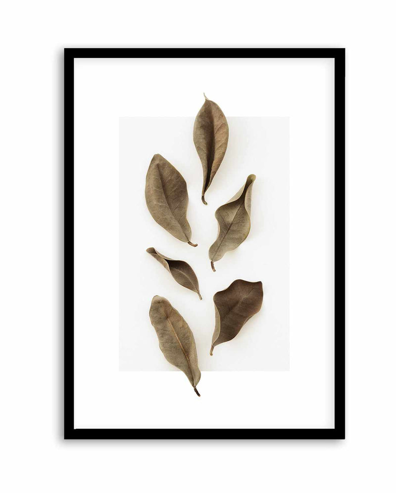 Dried Leaves 01 by Studio III | Art Print