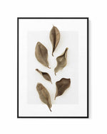 Dried Leaves 01 by Studio III | Framed Canvas Art Print