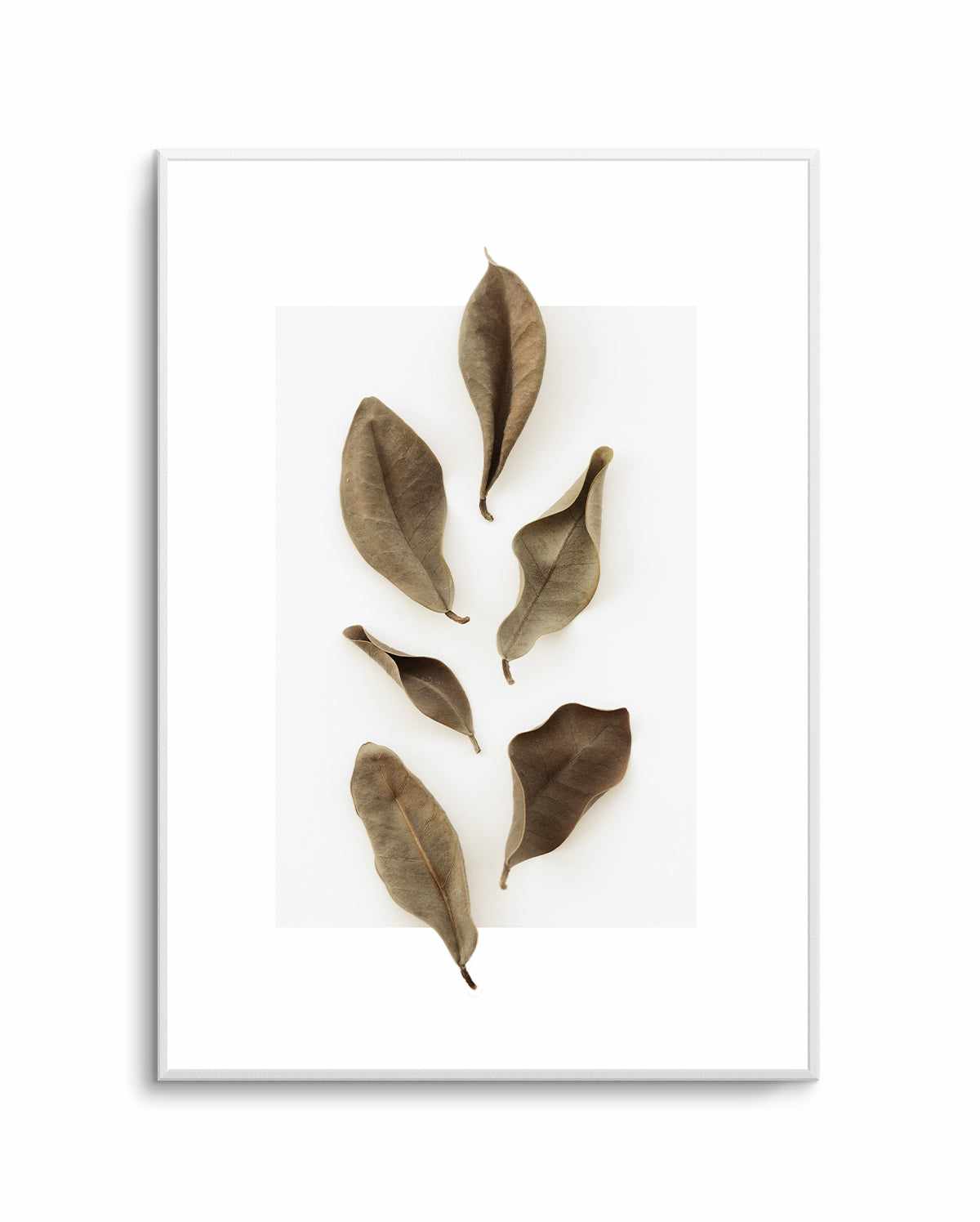 Dried Leaves 01 by Studio III | Art Print