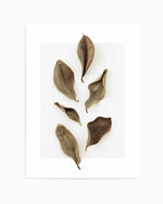 Dried Leaves 01 by Studio III | Art Print