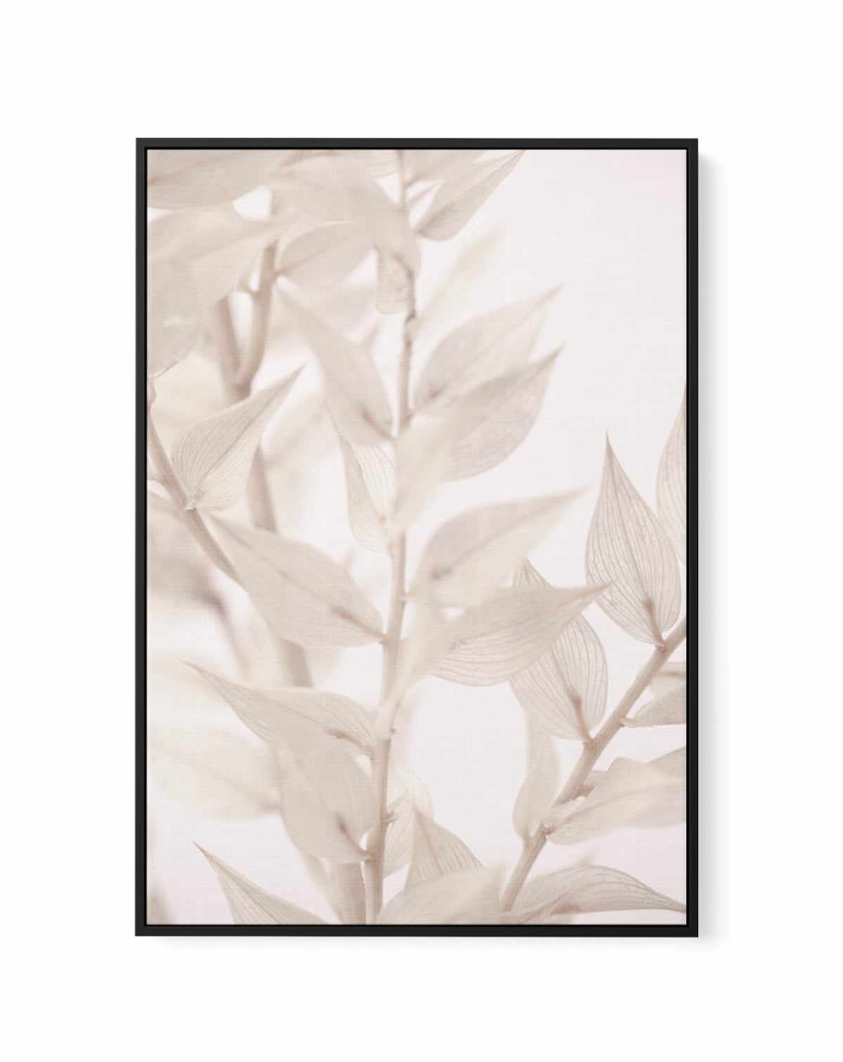 Dried Straws III By Studio III | Framed Canvas Art Print