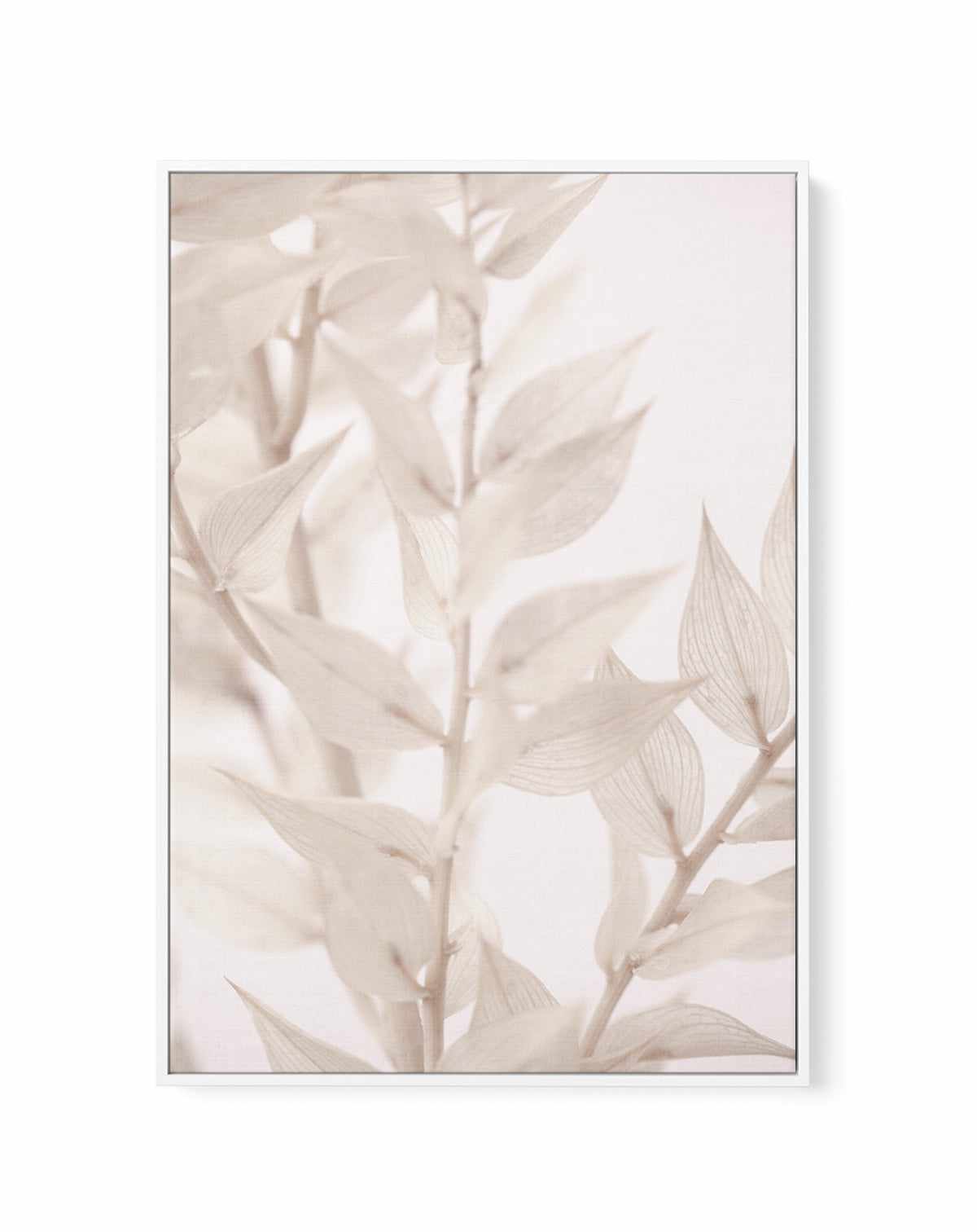 Dried Straws III By Studio III | Framed Canvas Art Print