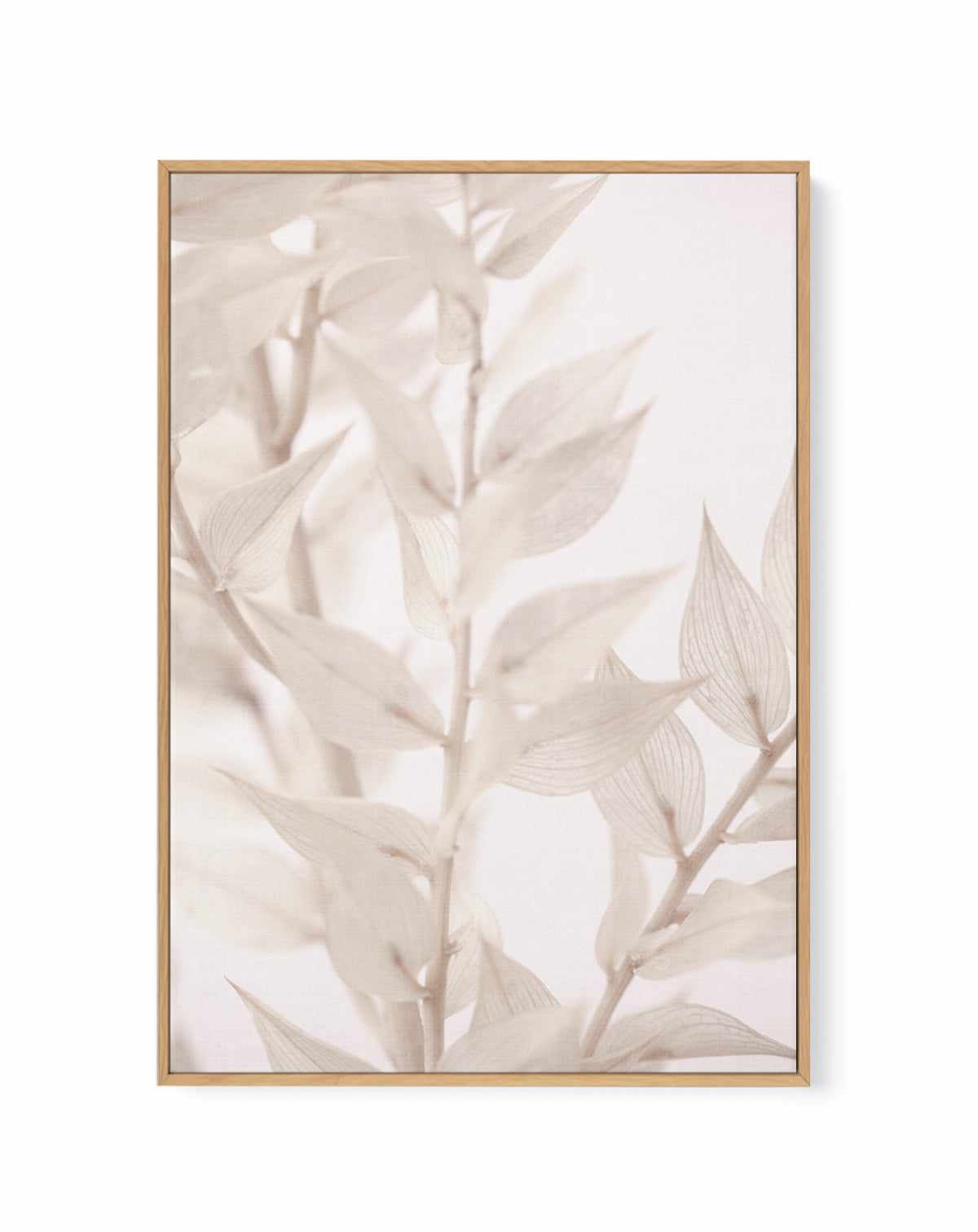 Dried Straws III By Studio III | Framed Canvas Art Print