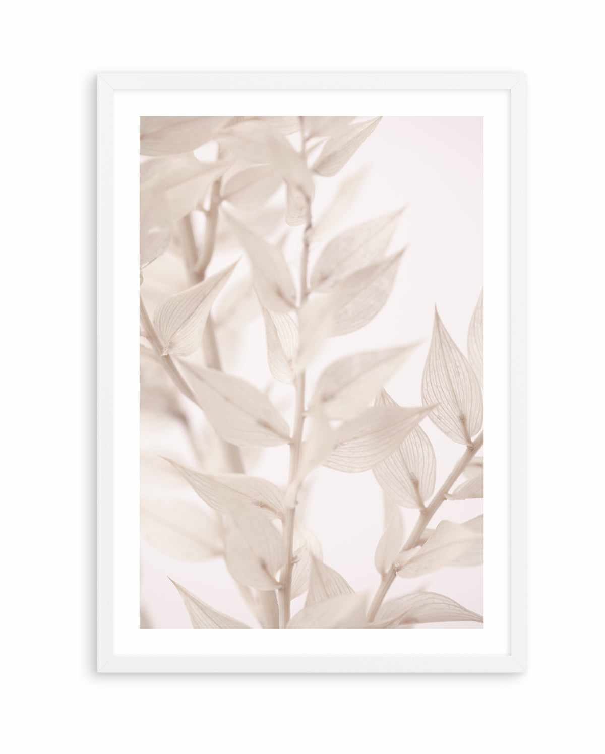 Dried Straws III By Studio III | Art Print