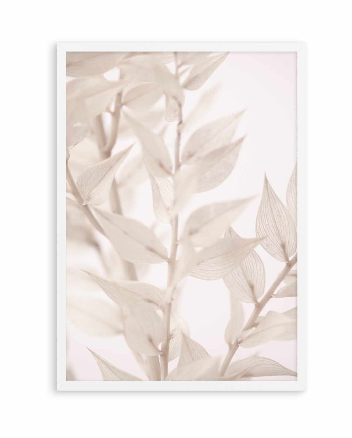 Dried Straws III By Studio III | Art Print