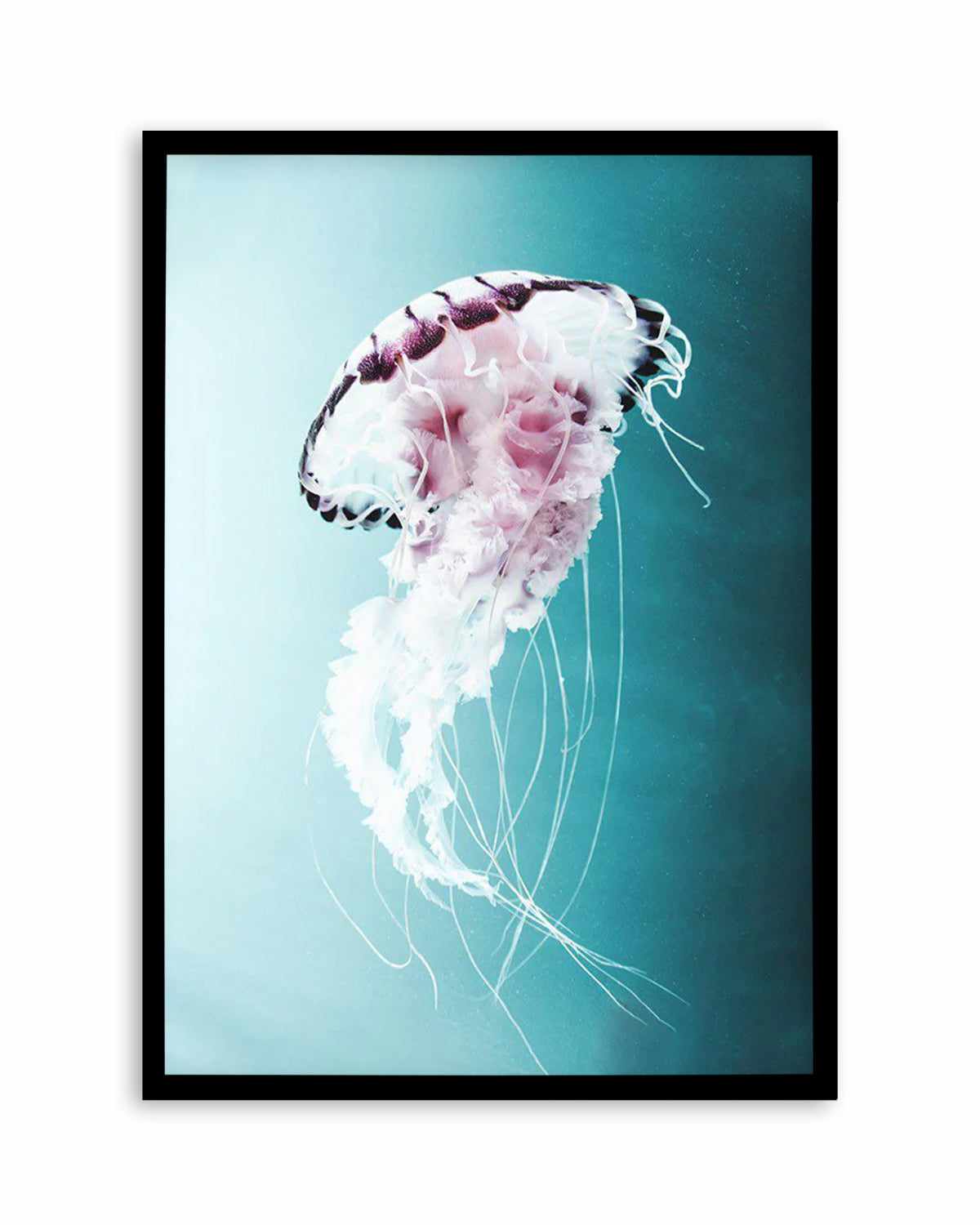 Drifting Jellyfish Art Print