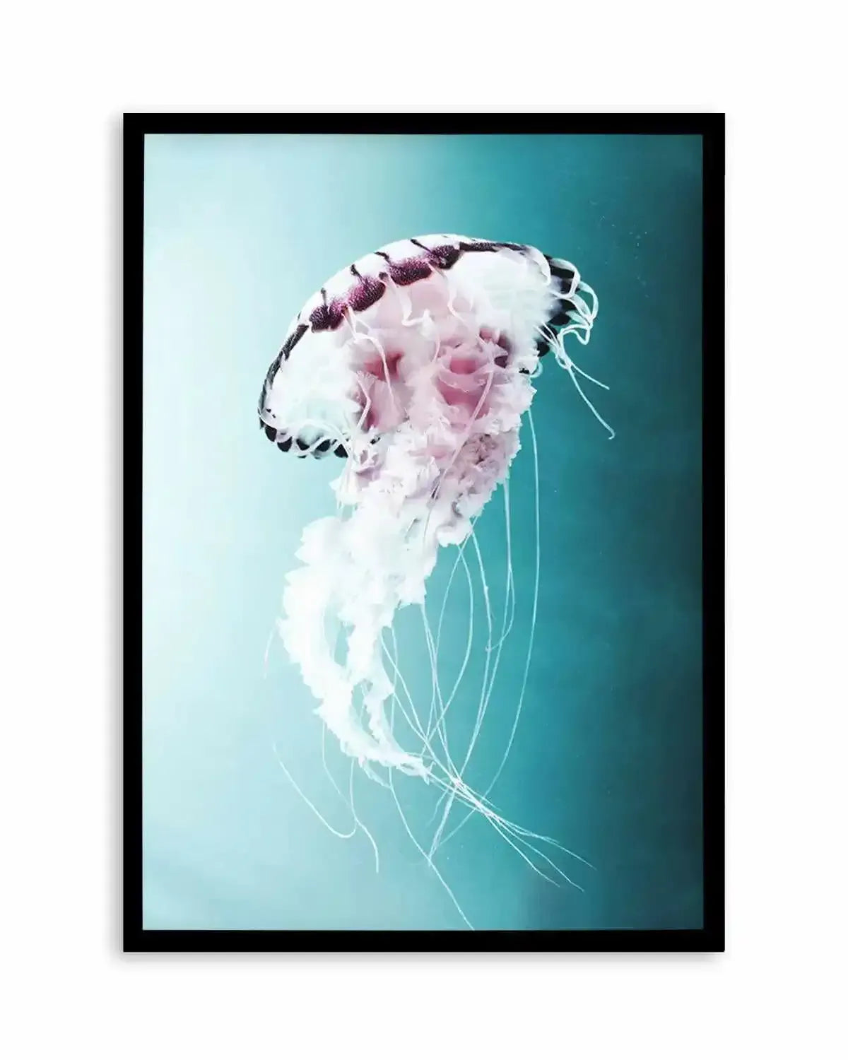 Drifting Jellyfish Art Print from Olive et Oriel where you can shop wallpaper and artworks online