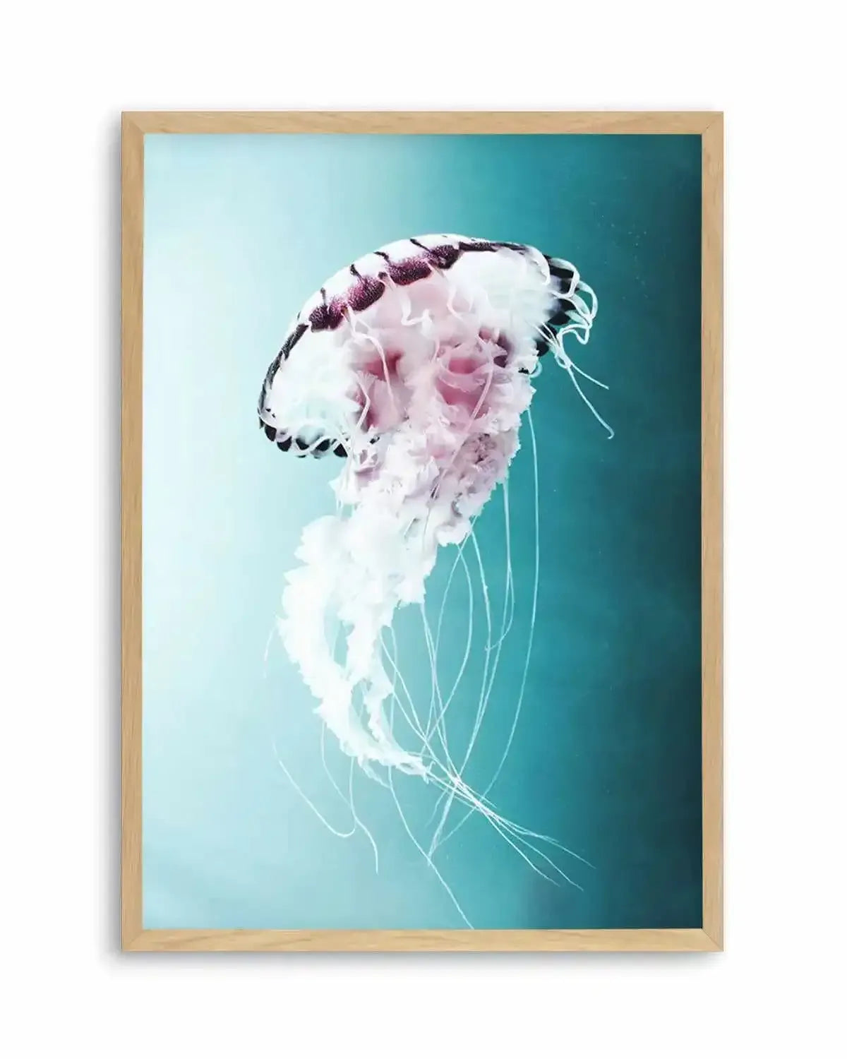 Drifting Jellyfish Art Print from Olive et Oriel where you can shop wallpaper and artworks online