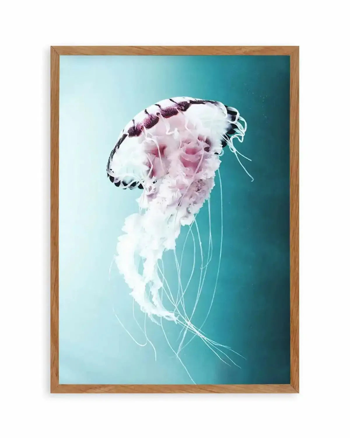 Drifting Jellyfish Art Print from Olive et Oriel where you can shop wallpaper and artworks online