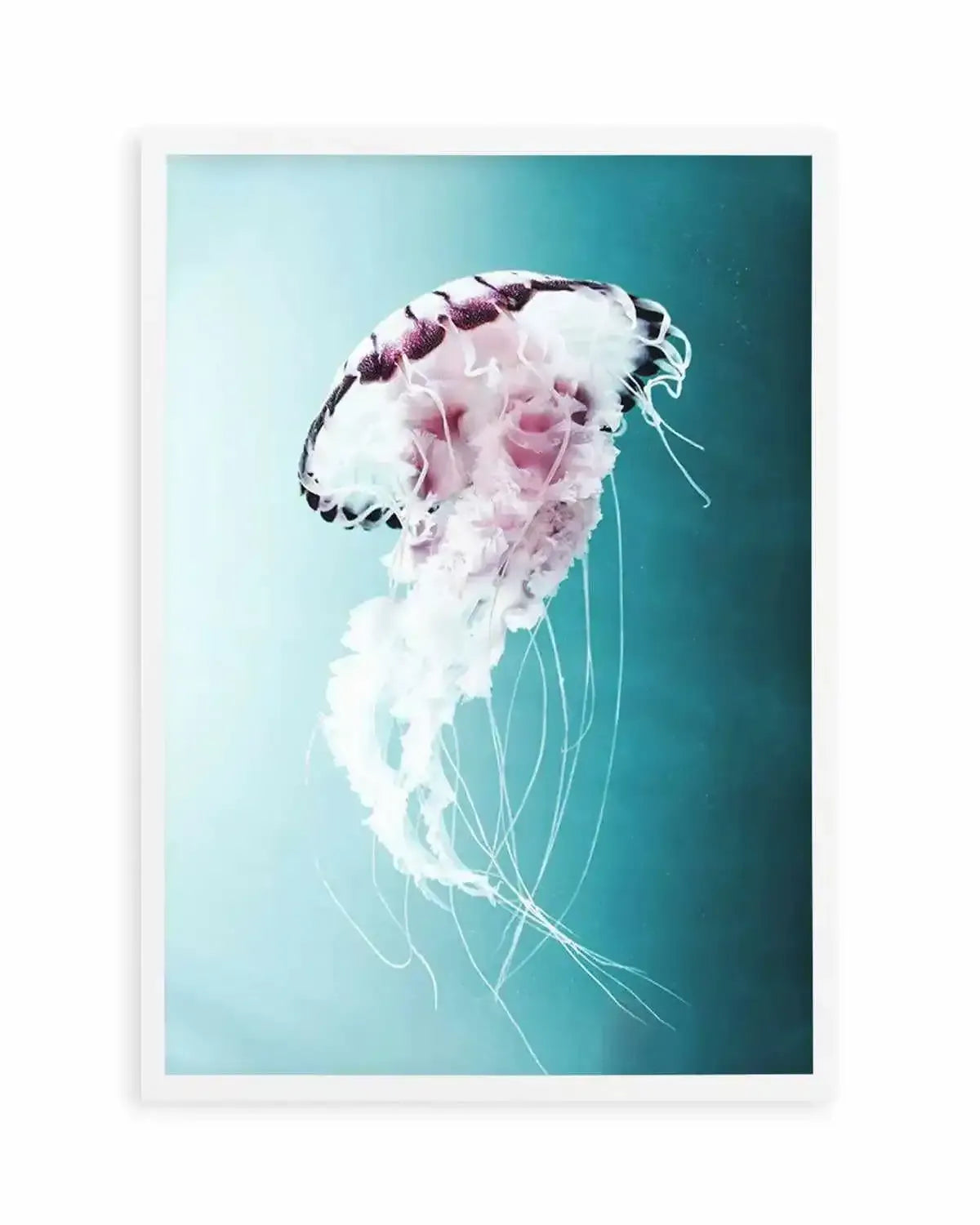 Drifting Jellyfish Art Print from Olive et Oriel where you can shop wallpaper and artworks online