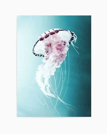 Photography art print featuring a translucent jellyfish with a bell-shaped body and long, flowing tentacles, swimming in clear water. The jellyfish has a white and pale pink bell with dark purple-brown markings along its rim, and delicate white tentacles trailing below. The background is a gradient of light teal at the top fading to a deeper turquoise blue at the bottom, creating a serene underwater atmosphere.