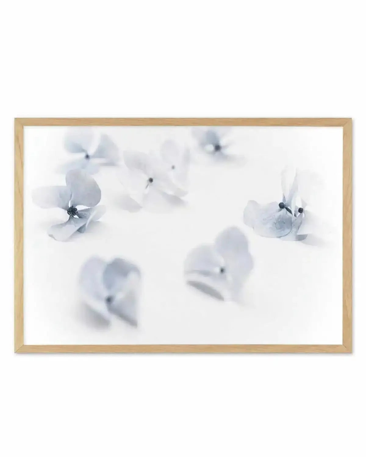 Droplets | Hydrangea I Art Print from Olive et Oriel where you can shop wallpaper and artworks online