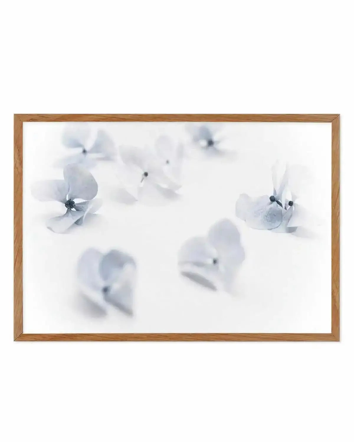 Droplets | Hydrangea I Art Print from Olive et Oriel where you can shop wallpaper and artworks online