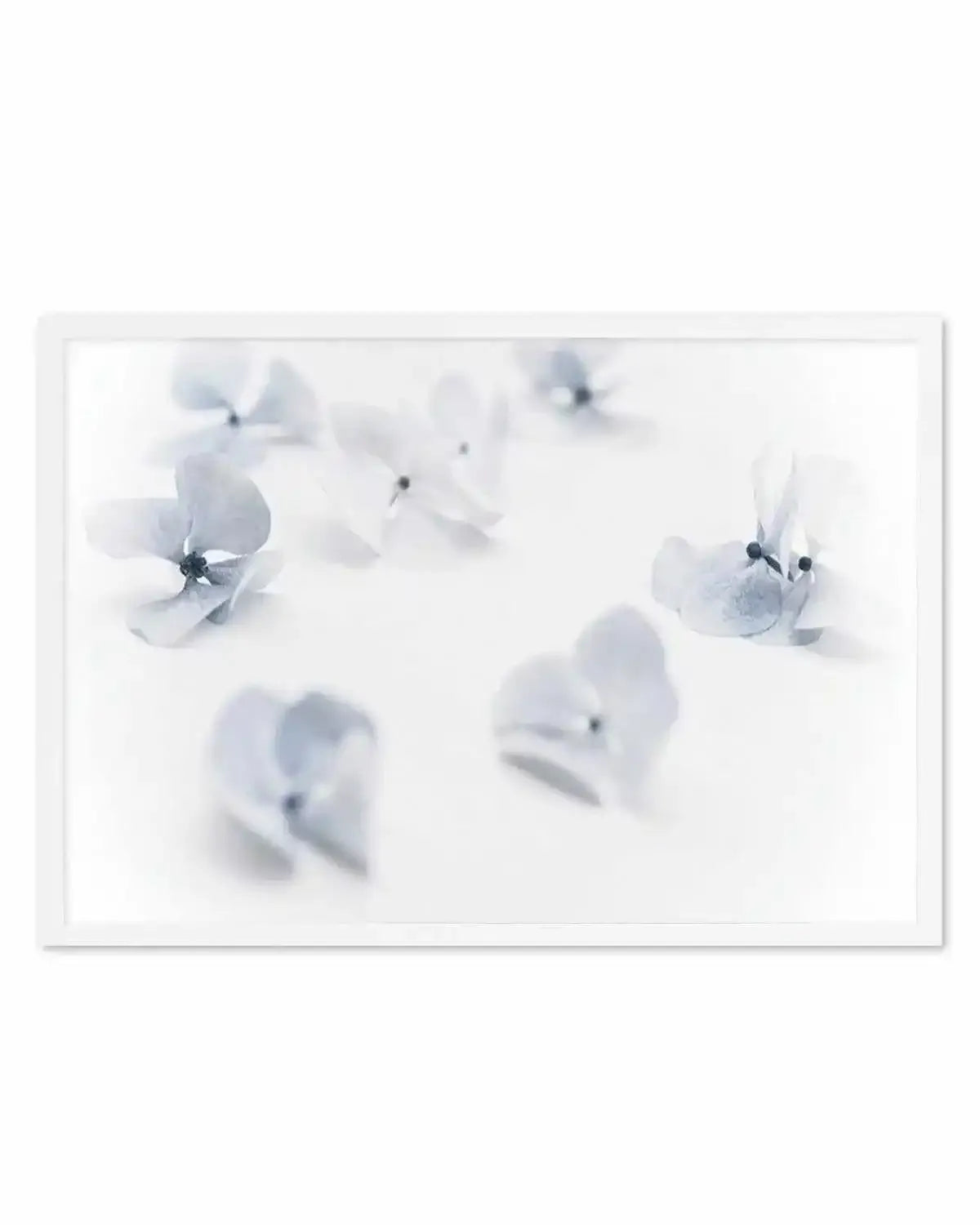 Droplets | Hydrangea I Art Print from Olive et Oriel where you can shop wallpaper and artworks online