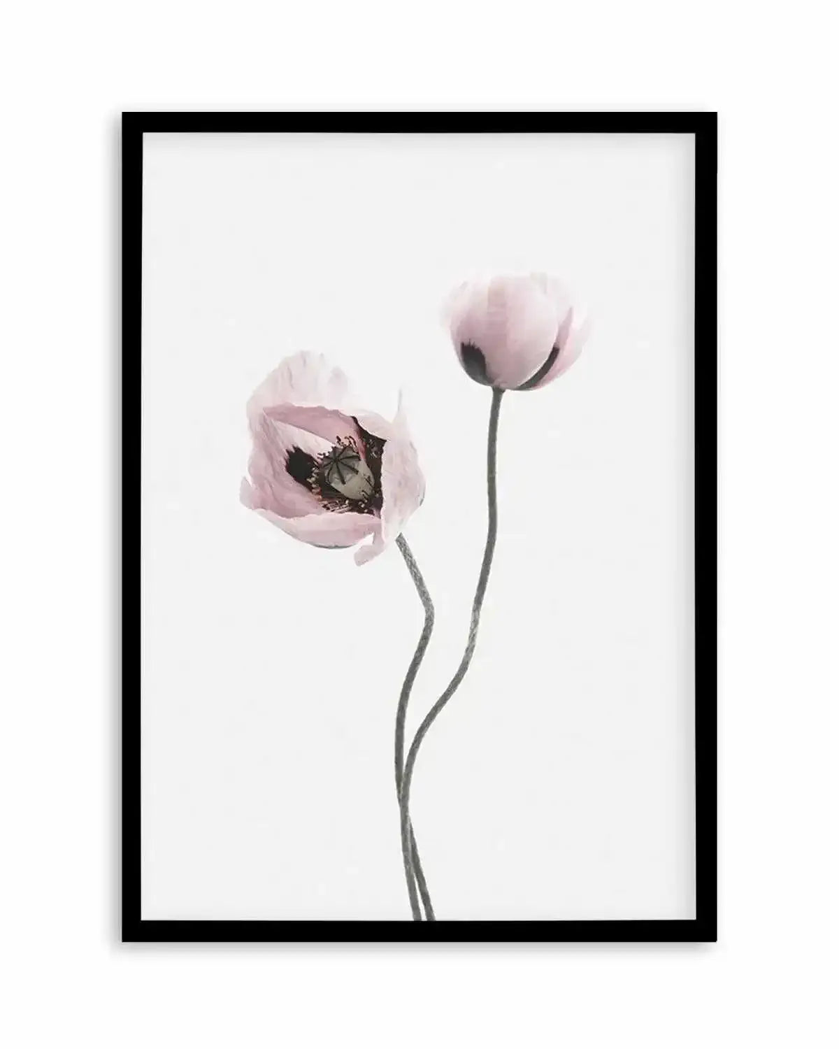 Duex Poppy I Art Print from Olive et Oriel where you can shop wallpaper and artworks online