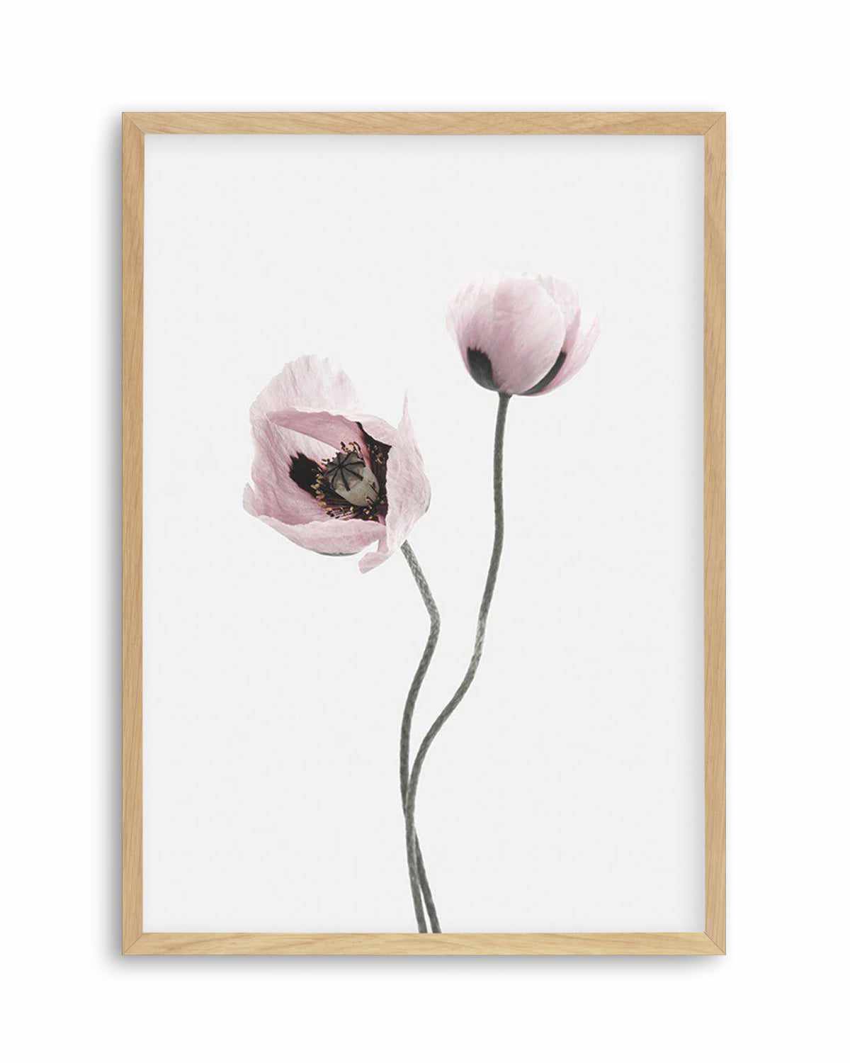 Duex Poppy I Art Print