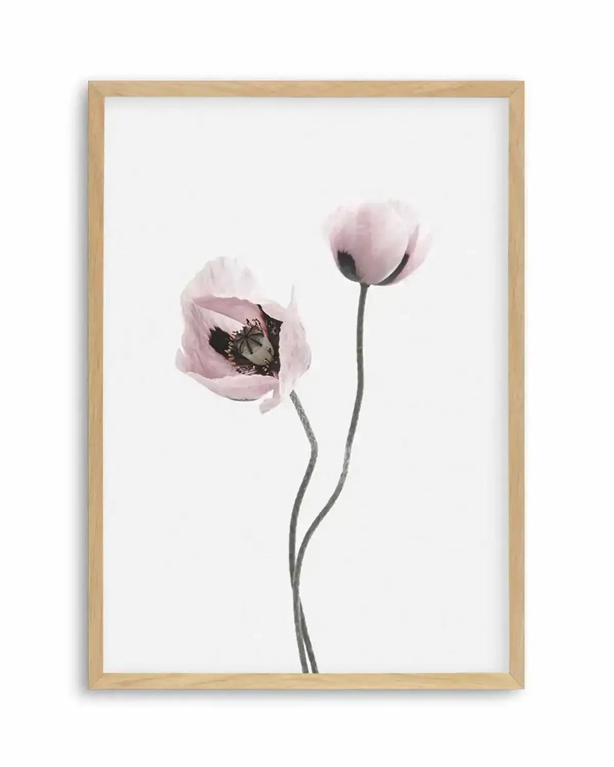 Duex Poppy I Art Print from Olive et Oriel where you can shop wallpaper and artworks online