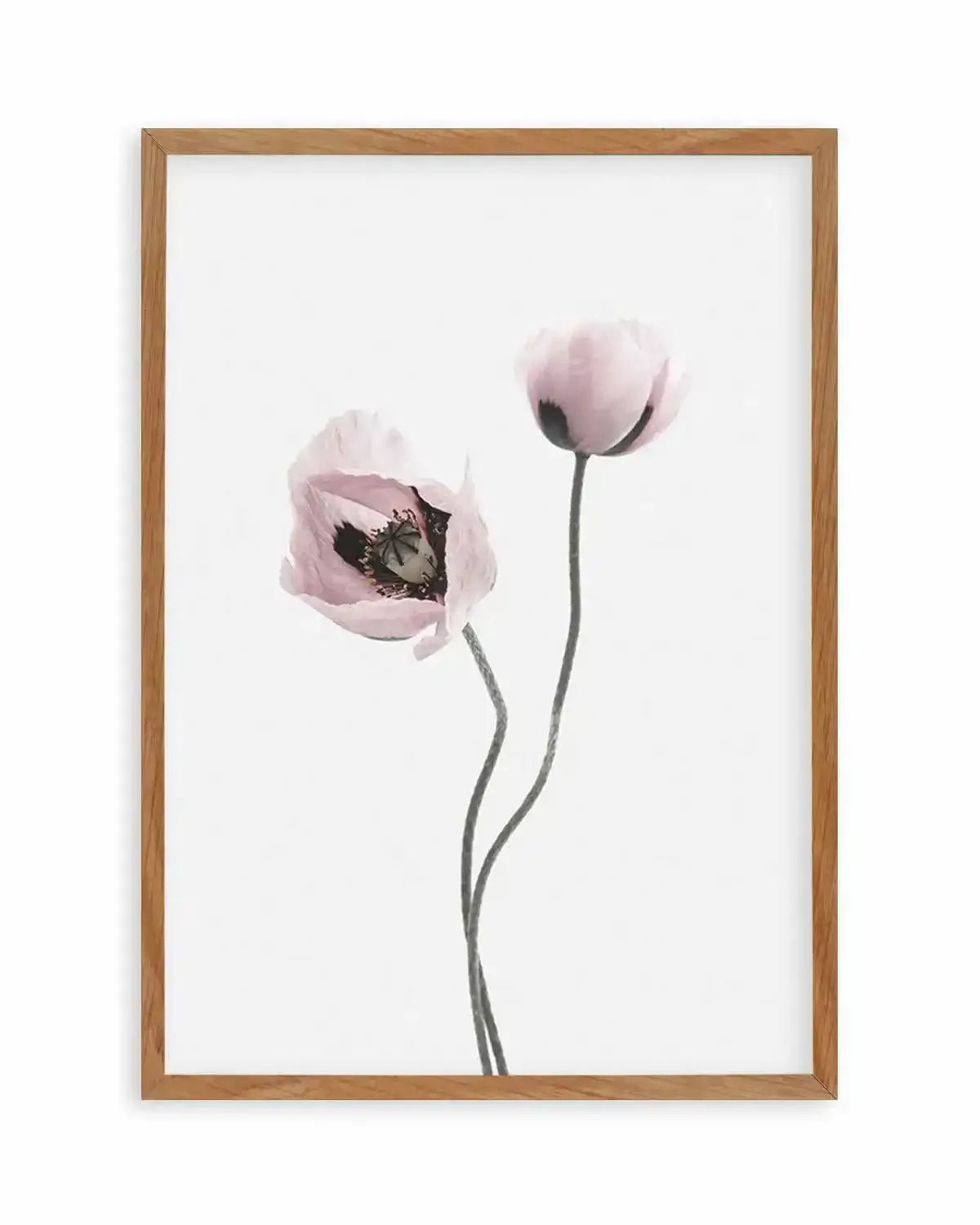 Duex Poppy I Art Print from Olive et Oriel where you can shop wallpaper and artworks online