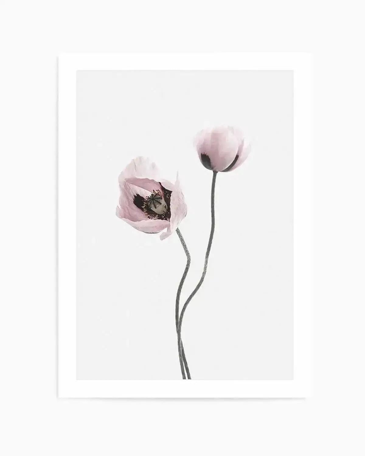 Duex Poppy I Art Print from Olive et Oriel where you can shop wallpaper and artworks online