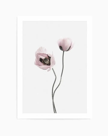 Watercolour art print featuring two delicate poppy flowers with soft pink petals and dark centers on a clean white background. One poppy is fully open, revealing its intricate stamen, while the other is a closed bud. Both flowers have slender, dark grey stems that curve gracefully.