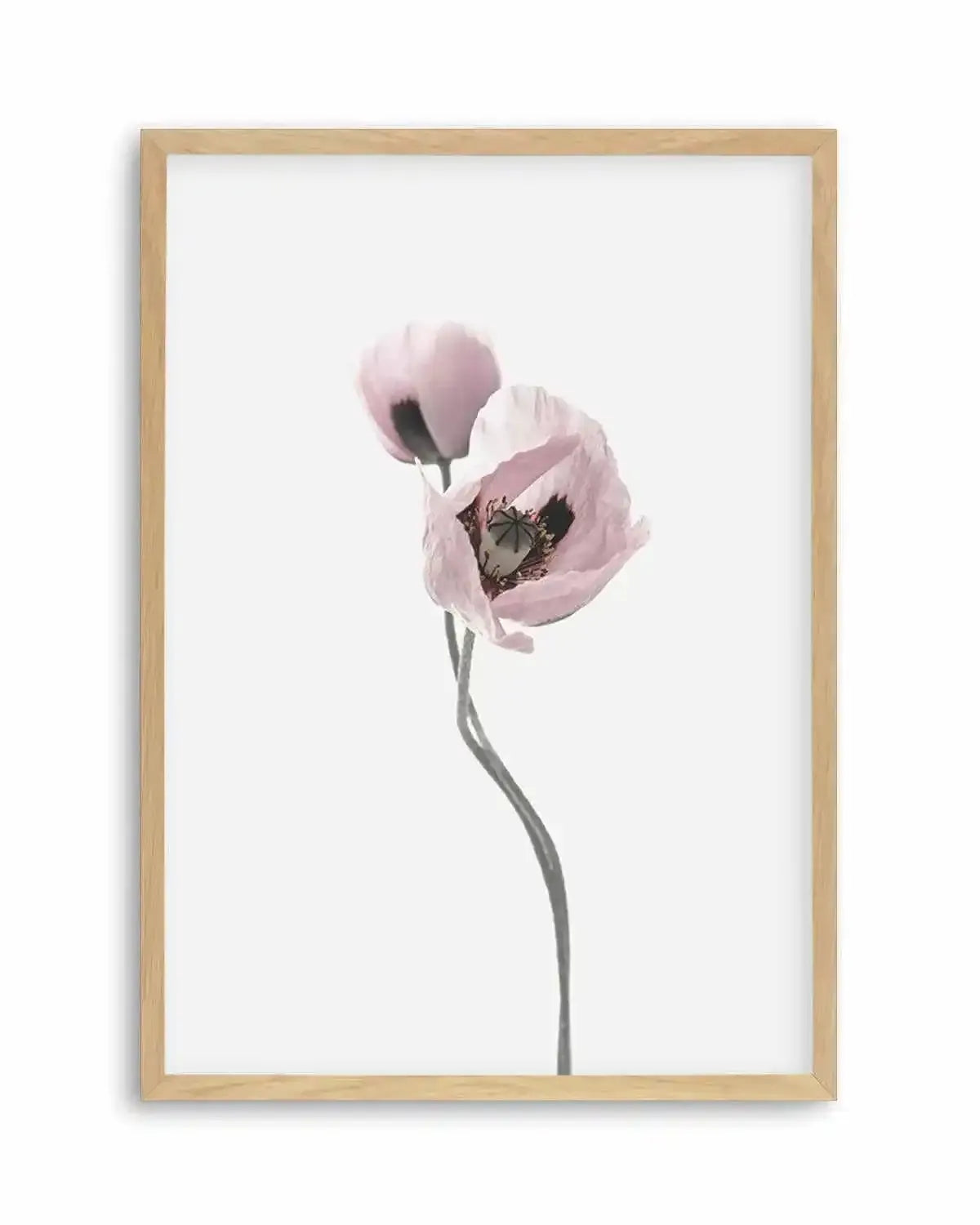 Duex Poppy II Art Print from Olive et Oriel where you can shop wallpaper and artworks online