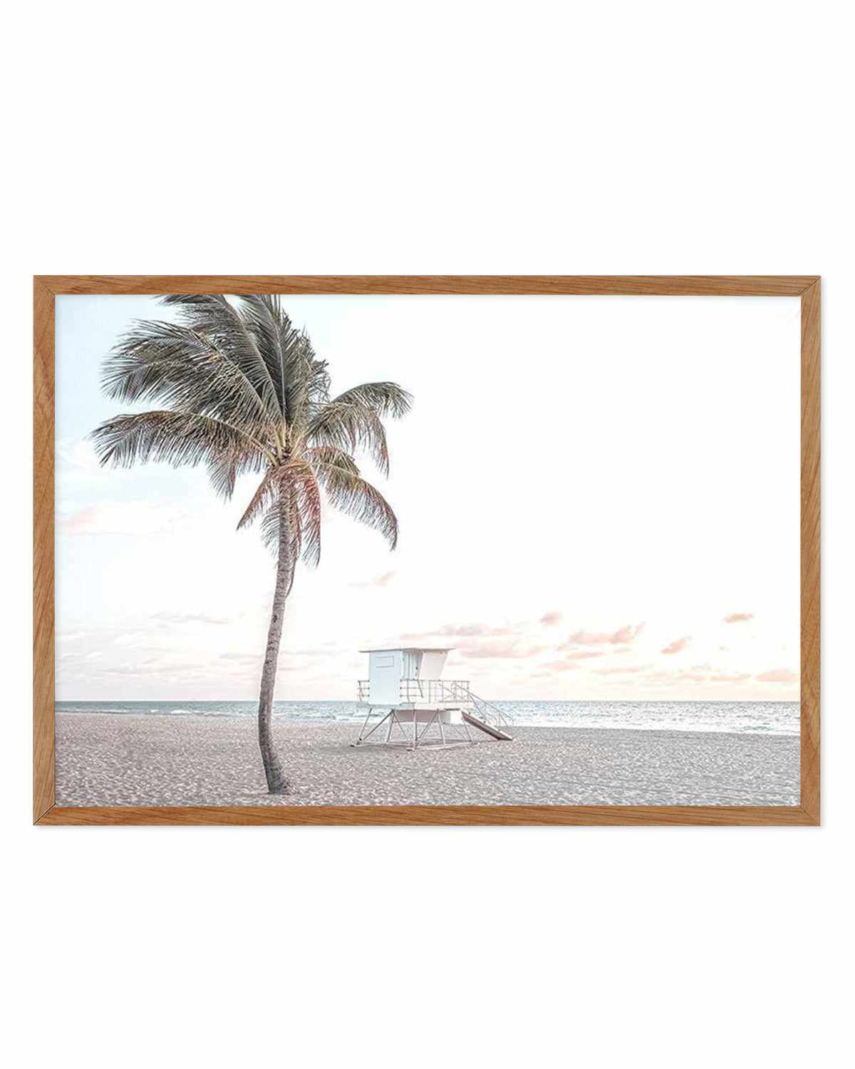 Dusk at Palm Cove | LS Art Print