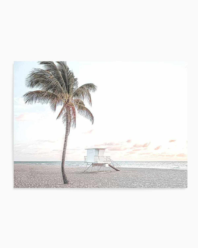 Dusk at Palm Cove | LS Art Print