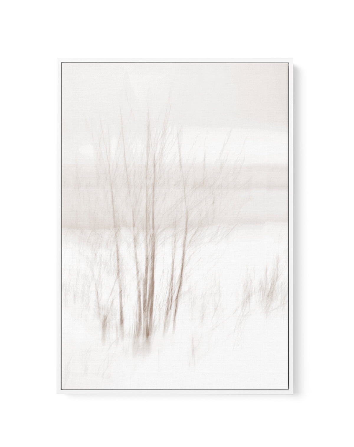 Ethereal Winter Woods by Christina Sillen | Framed Canvas Art Print