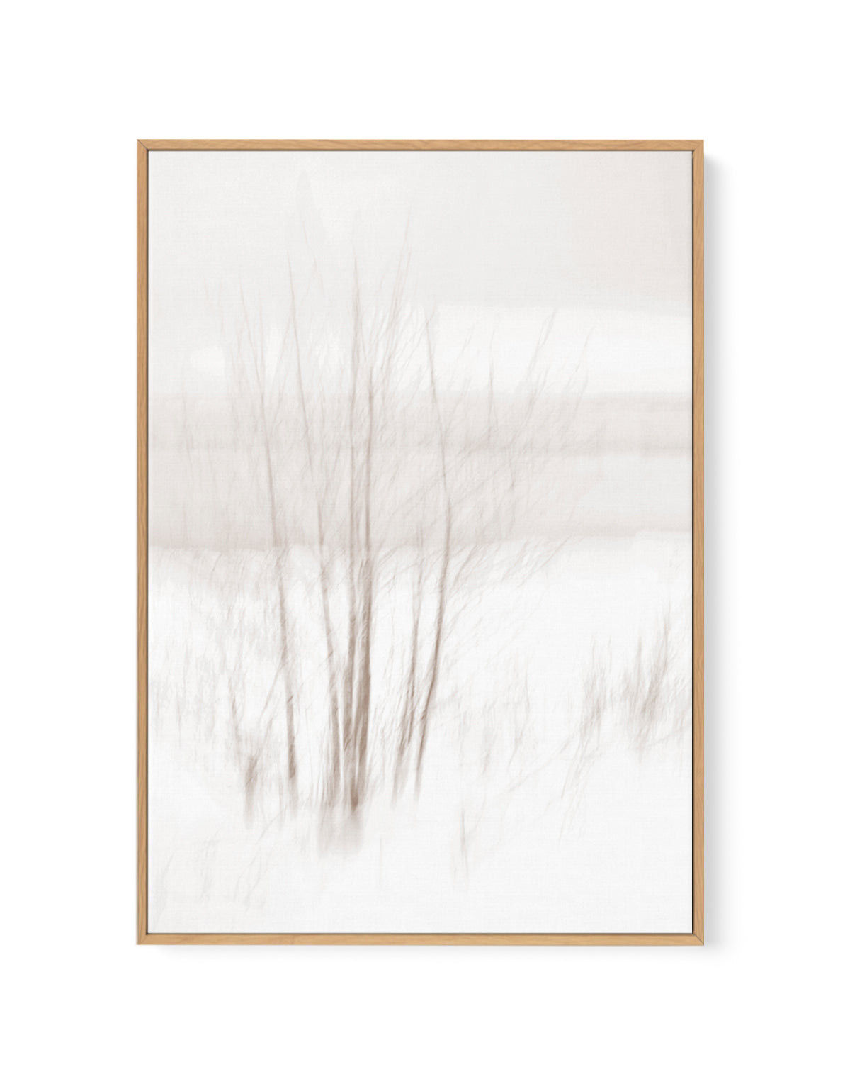 Ethereal Winter Woods by Christina Sillen | Framed Canvas Art Print