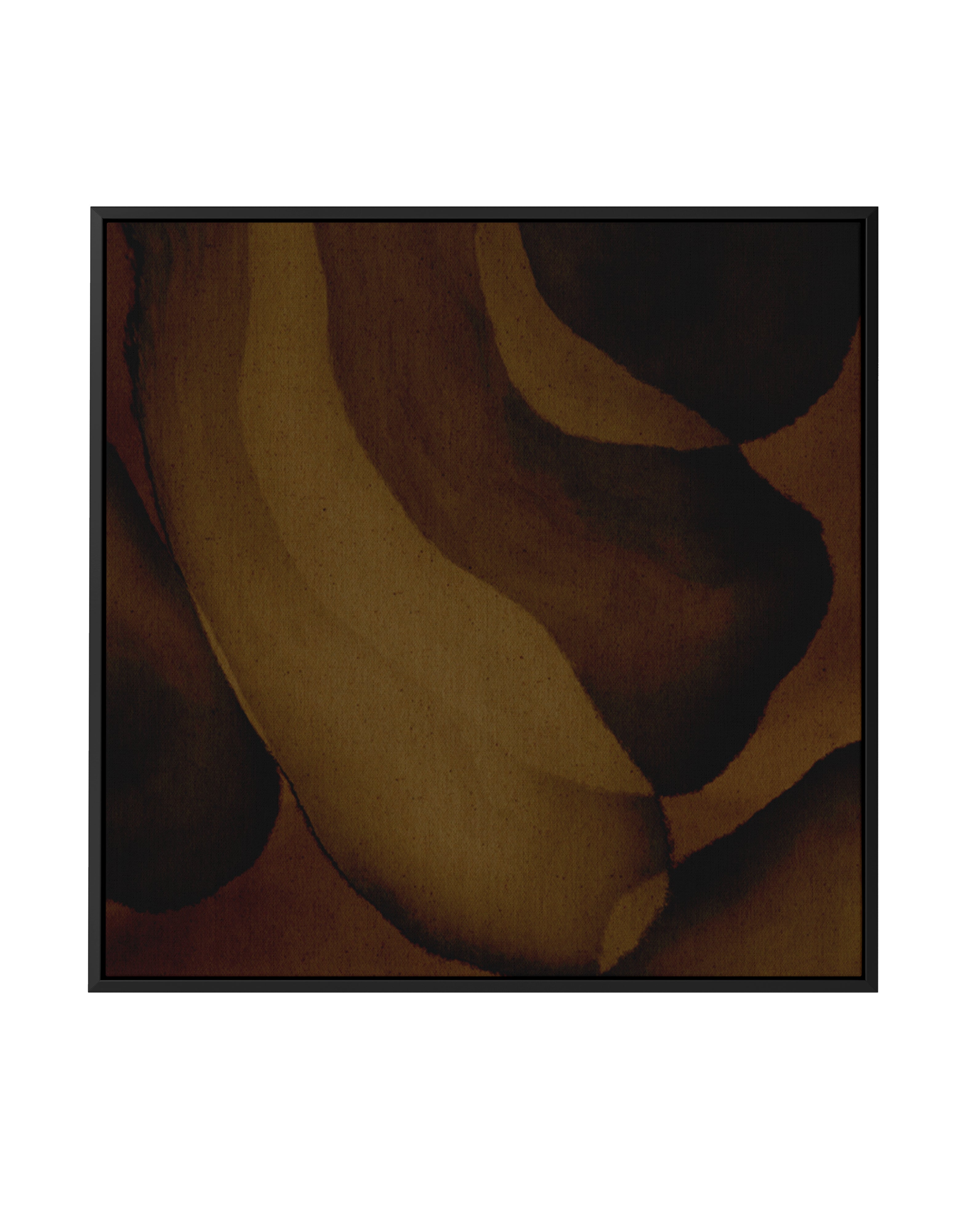 Earthbound 2 by Shatha Al Dafai | Framed Canvas Art Print