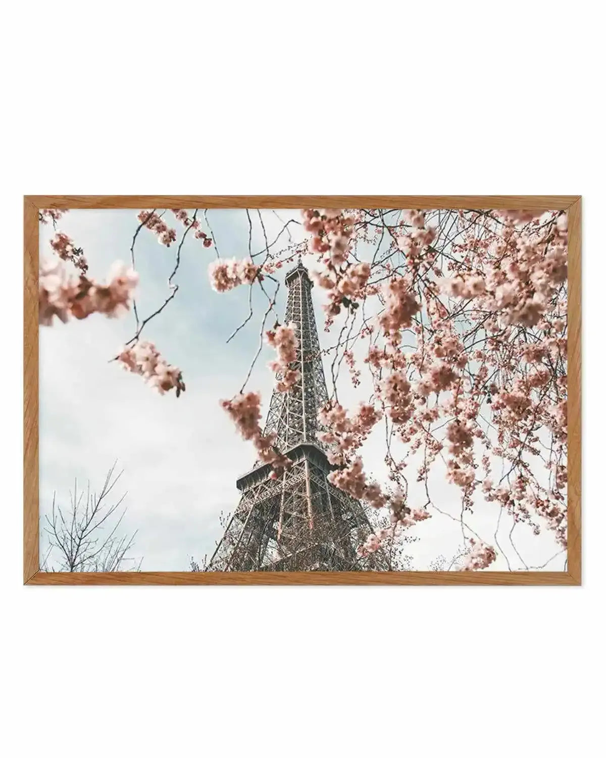 Eiffel Tower | Spring Art Print from Olive et Oriel where you can shop wallpaper and artworks online
