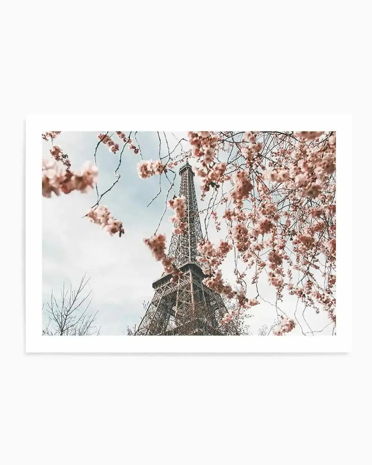 Eiffel Tower | Spring Art Print from Olive et Oriel where you can shop wallpaper and artworks online