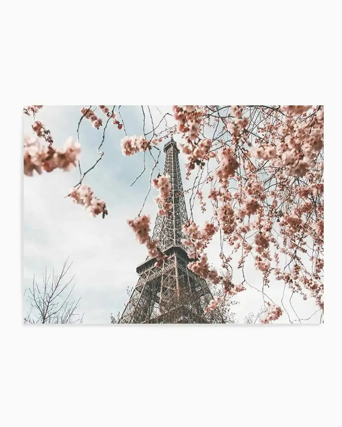 Eiffel Tower | Spring Art Print from Olive et Oriel where you can shop wallpaper and artworks online