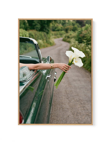 Eldorado Green II | Framed Canvas Wall Art