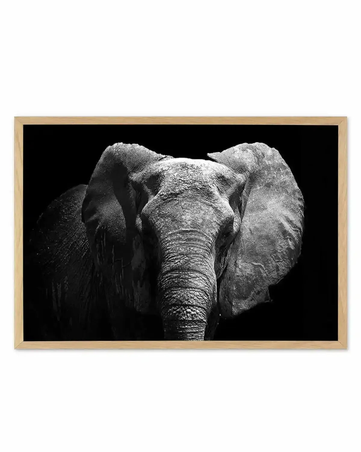 Elephant De Nuit | LS Art Print from Olive et Oriel where you can shop wallpaper and artworks online