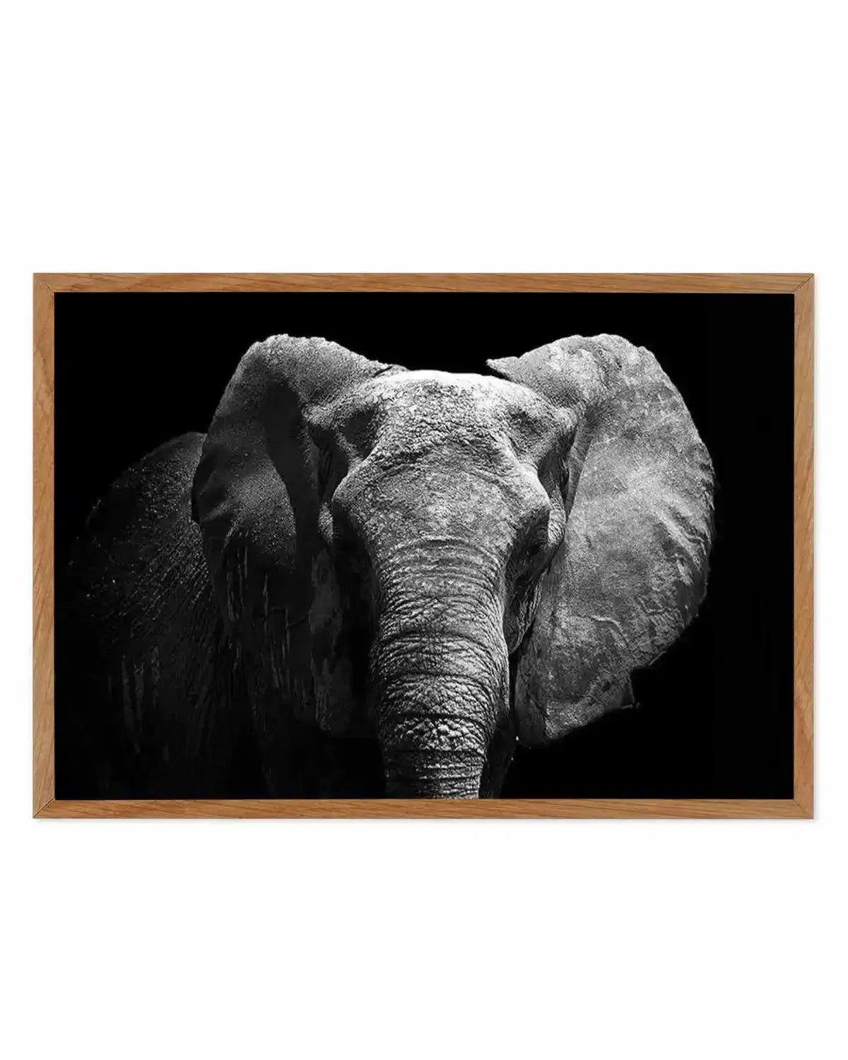 Elephant De Nuit | LS Art Print from Olive et Oriel where you can shop wallpaper and artworks online